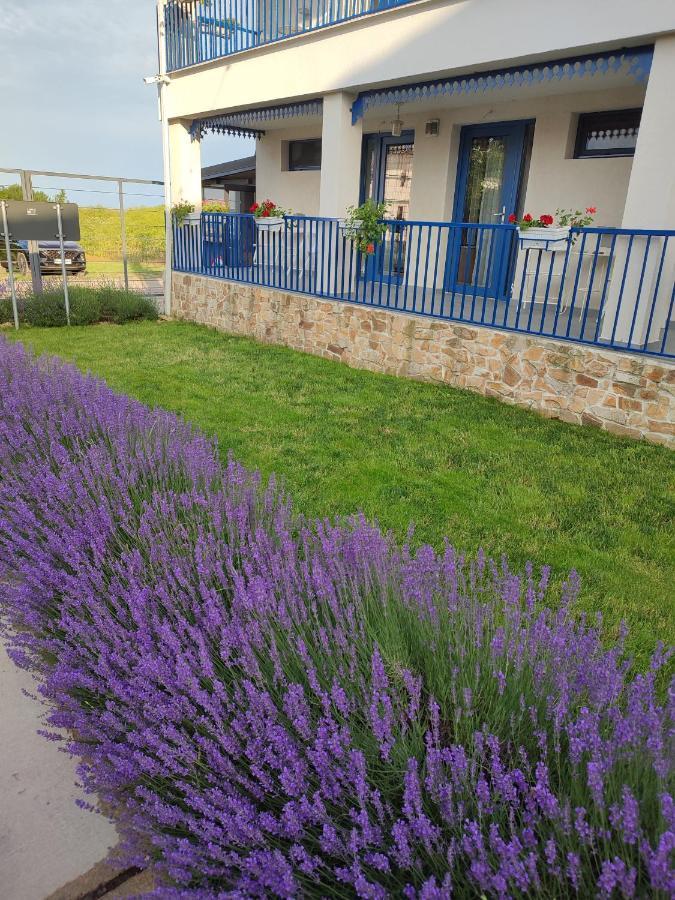 The Old Border Hotel Vama Veche Exterior photo