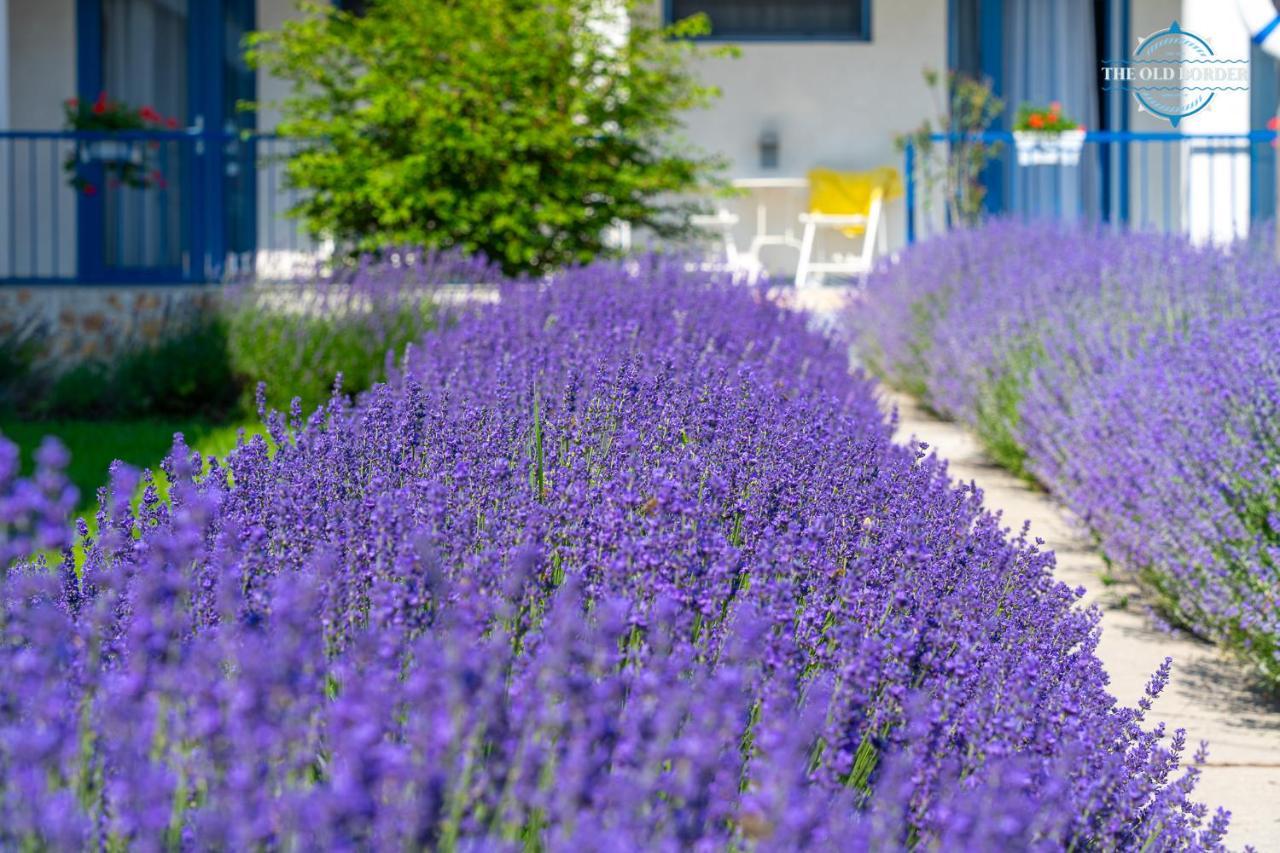 The Old Border Hotel Vama Veche Exterior photo
